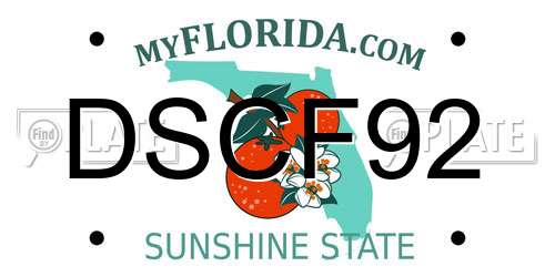 DSCF92 Florida License Plate