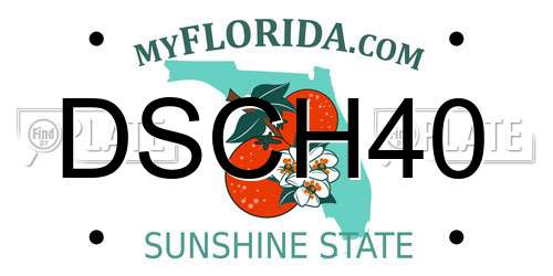DSCH40 Florida License Plate