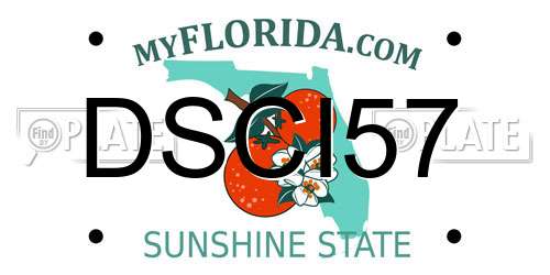 DSCI57 Florida License Plate