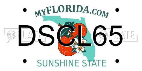 DSCL65 Florida License Plate