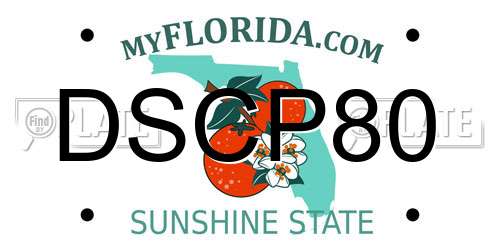 DSCP80 Florida License Plate