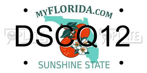 DSCQ12 Florida License Plate
