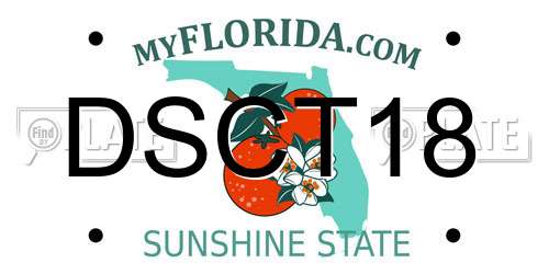 DSCT18 Florida License Plate