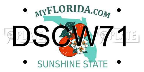 DSCW71 Florida License Plate