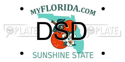 DSD Florida License Plate
