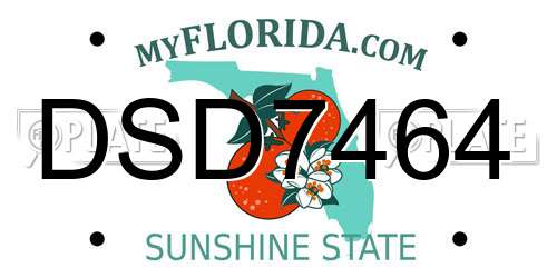 DSD7464 Florida License Plate
