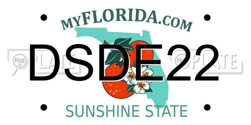 DSDE22 Florida License Plate