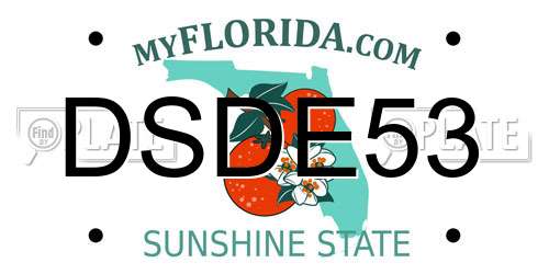 DSDE53 Florida License Plate