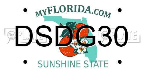 DSDG30 Florida License Plate