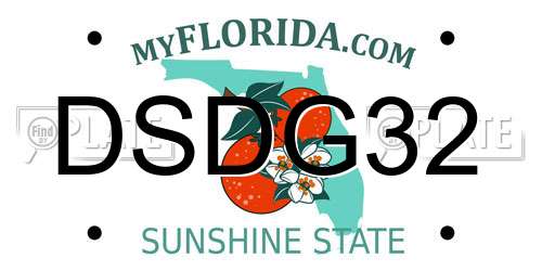 DSDG32 Florida License Plate