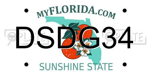 DSDG34 Florida License Plate