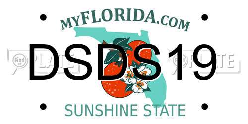 DSDS19 Florida License Plate