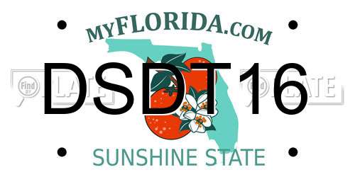DSDT16 Florida License Plate