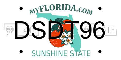 DSDT96 Florida License Plate
