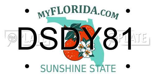 DSDY81 Florida License Plate