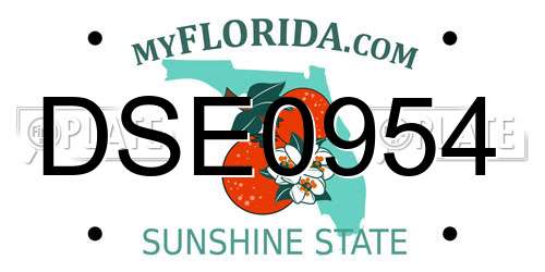 DSE0954 Florida License Plate