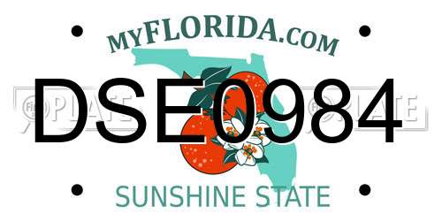 DSE0984 Florida License Plate