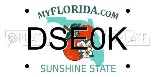 DSE0K Florida License Plate