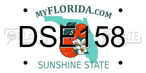 DSE158 Florida License Plate