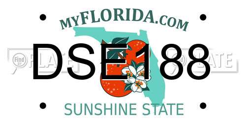 DSE188 Florida License Plate