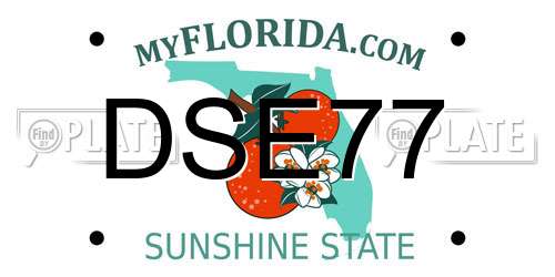 DSE77 Florida License Plate