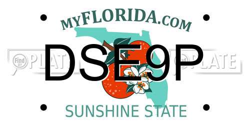 DSE9P Florida License Plate