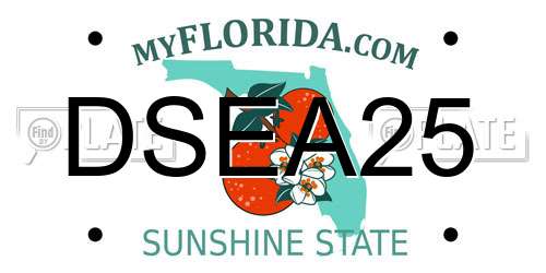 DSEA25 Florida License Plate