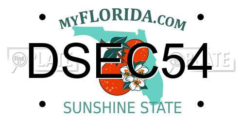 DSEC54 Florida License Plate
