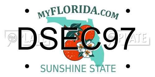 DSEC97 Florida License Plate