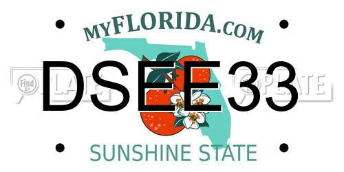 DSEE33 Florida License Plate