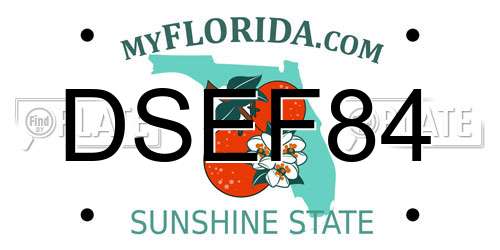 DSEF84 Florida License Plate