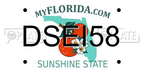 DSEI58 Florida License Plate