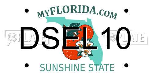 DSEL10 Florida License Plate