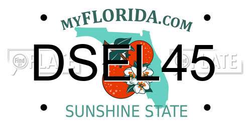 DSEL45 Florida License Plate