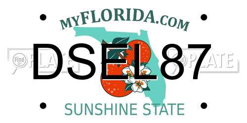 DSEL87 Florida License Plate