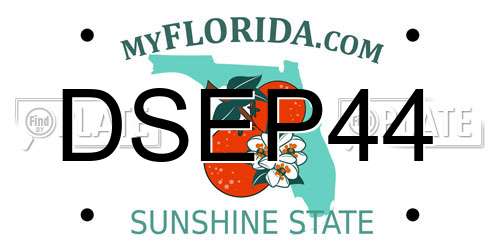DSEP44 Florida License Plate