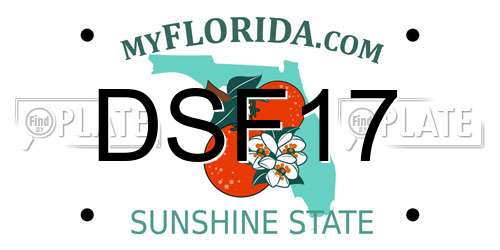 DSF17 Florida License Plate
