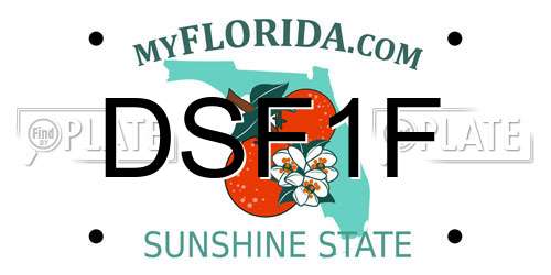 DSF1F Florida License Plate