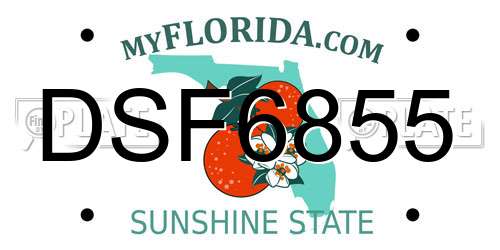DSF6855 Florida License Plate