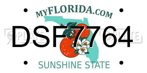 DSF7764 Florida License Plate