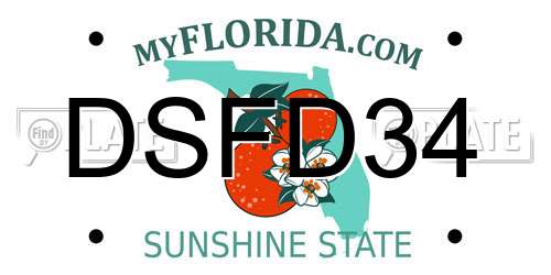 DSFD34 Florida License Plate