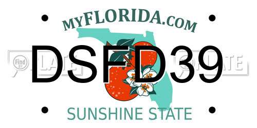DSFD39 Florida License Plate