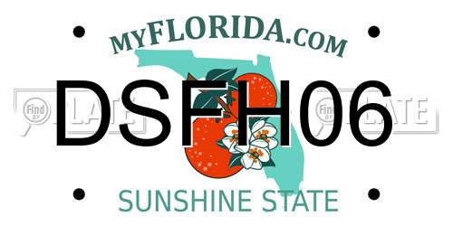 DSFH06 Florida License Plate