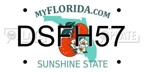 DSFH57 Florida License Plate
