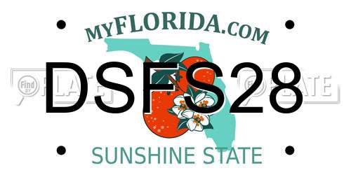 DSFS28 Florida License Plate