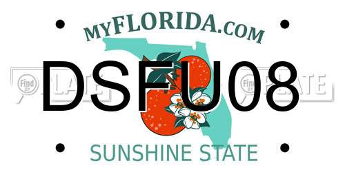 DSFU08 Florida License Plate