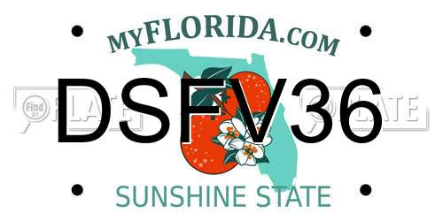 DSFV36 Florida License Plate