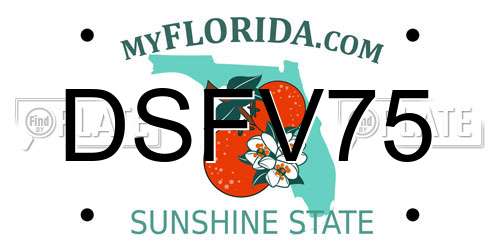 DSFV75 Florida License Plate