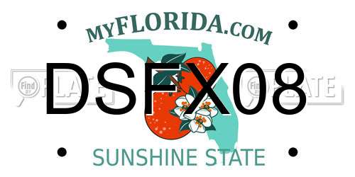 DSFX08 Florida License Plate