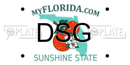DSG Florida License Plate